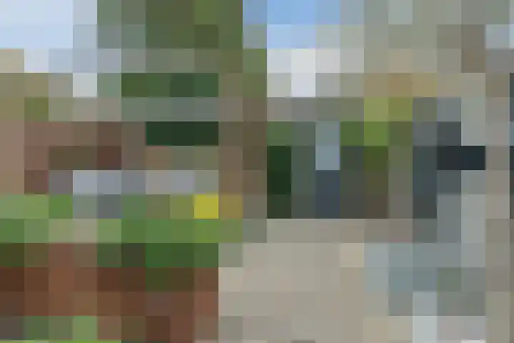 Aragorn 27 Geldrop thumbnail 36