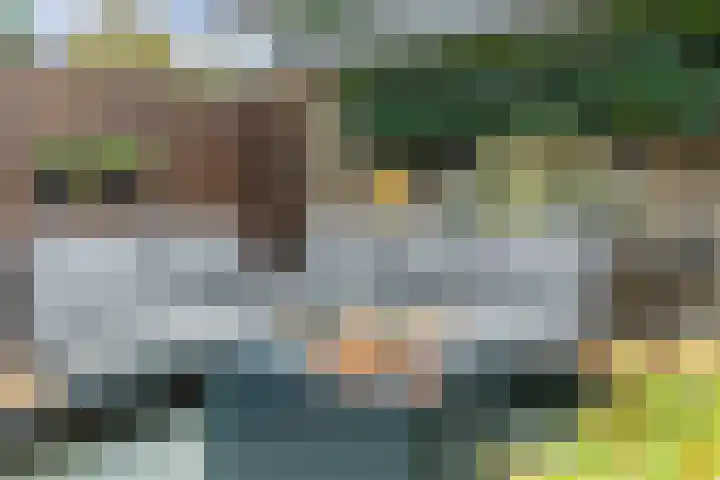 Aragorn 27 Geldrop thumbnail 38