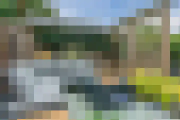 Aragorn 27 Geldrop thumbnail 39