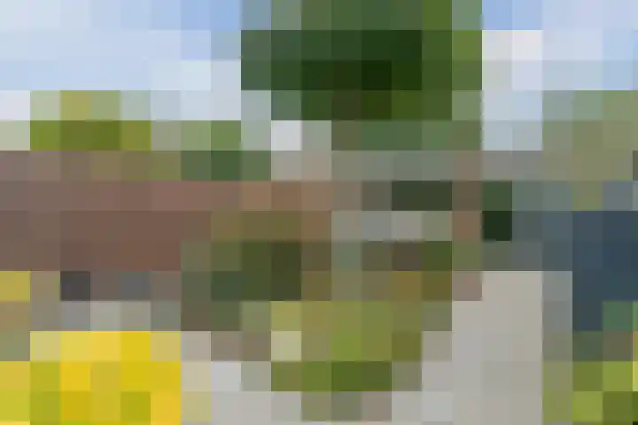 Aragorn 27 Geldrop thumbnail 4