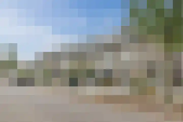Aragorn 27 Geldrop thumbnail 42
