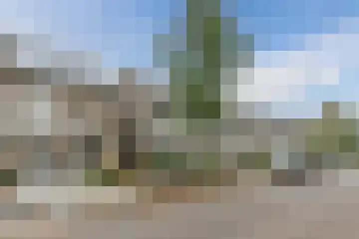 Aragorn 27 Geldrop thumbnail 43
