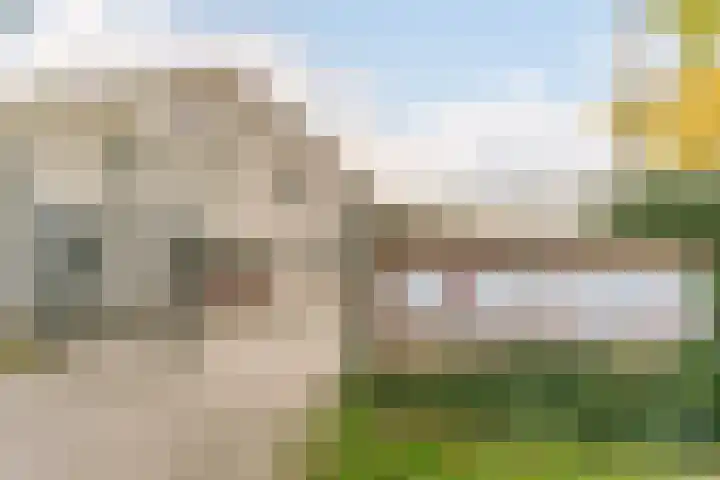 Aragorn 27 Geldrop thumbnail 45
