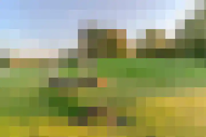 Aragorn 27 Geldrop thumbnail 46