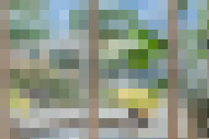 Aragorn 27 Geldrop thumbnail 7
