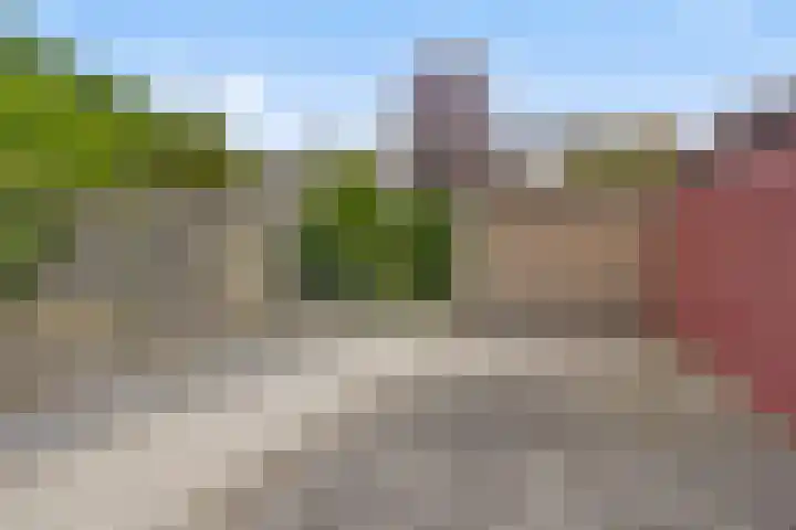 Aragorn 61 Geldrop thumbnail 23