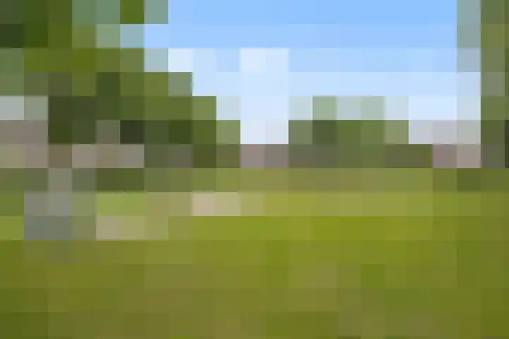 Aragorn 61 Geldrop thumbnail 29