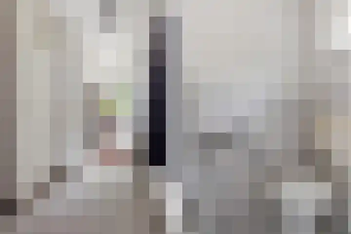 Aragorn 61 Geldrop thumbnail 4