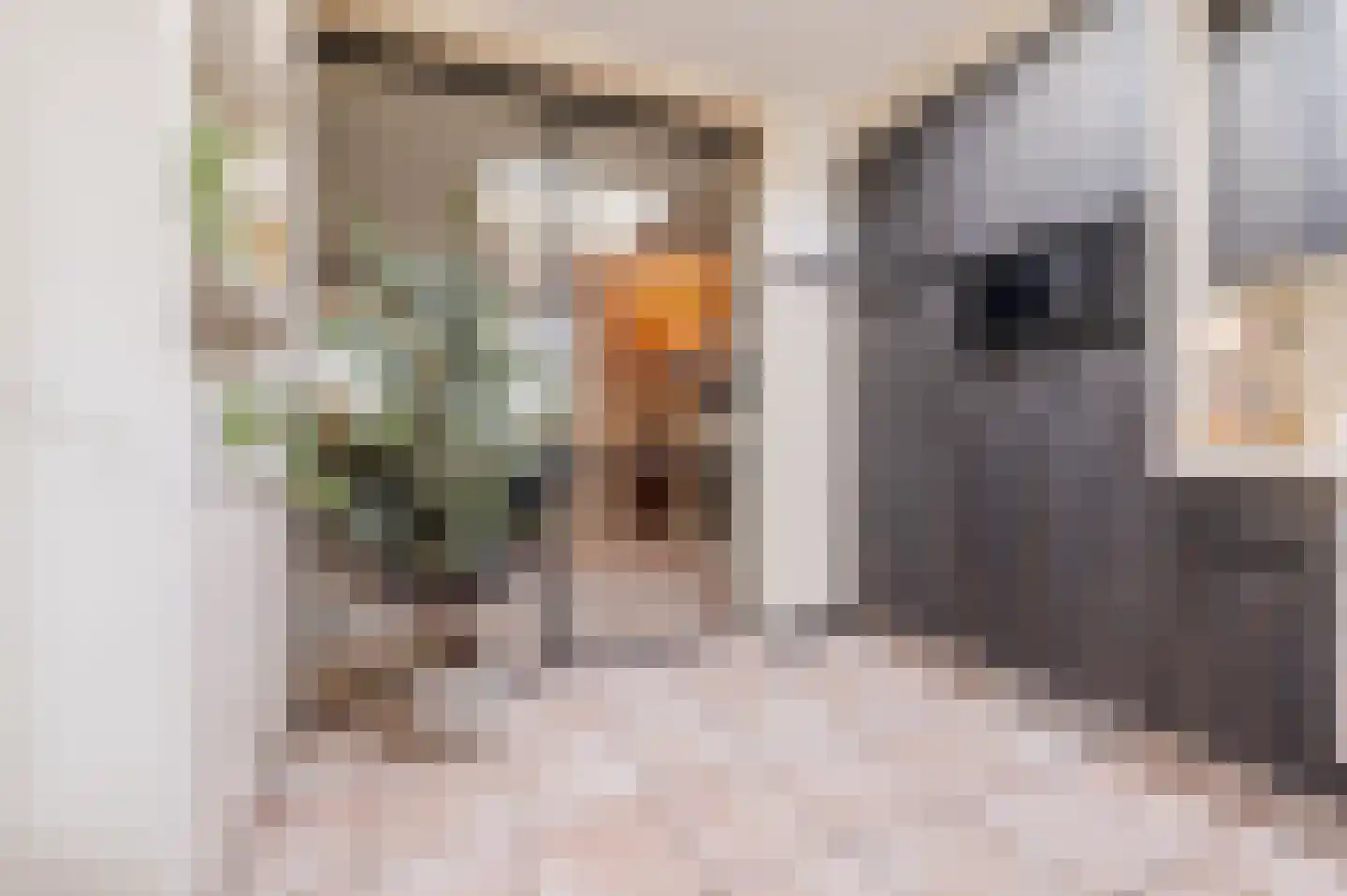 Aragorn 67 Geldrop thumbnail 14
