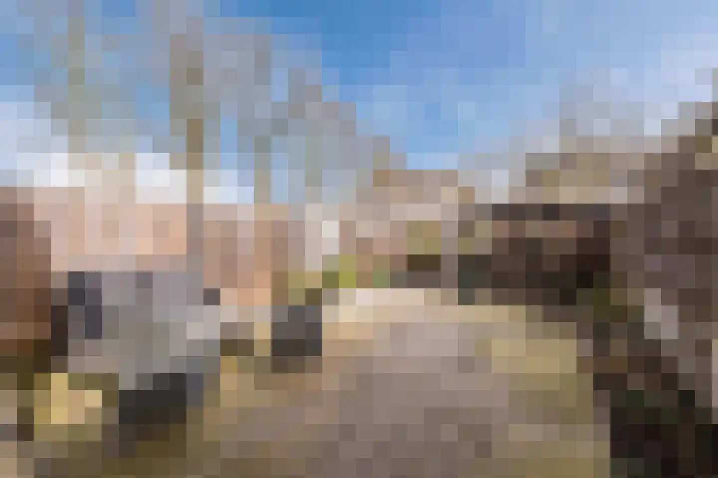 Aragorn 67 Geldrop thumbnail 34