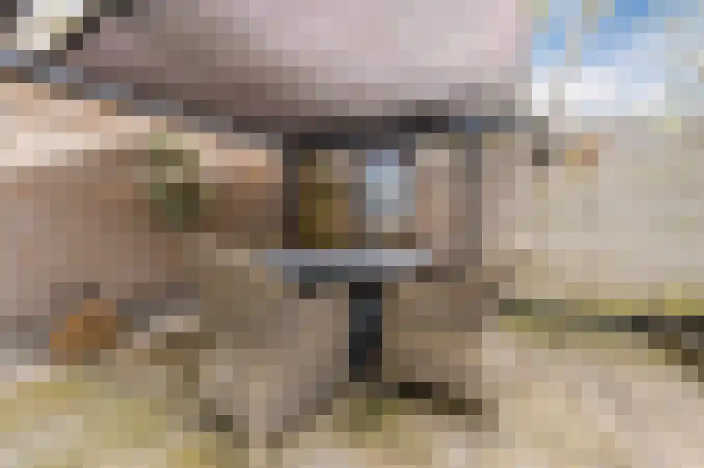 Aragorn 67 Geldrop thumbnail 36