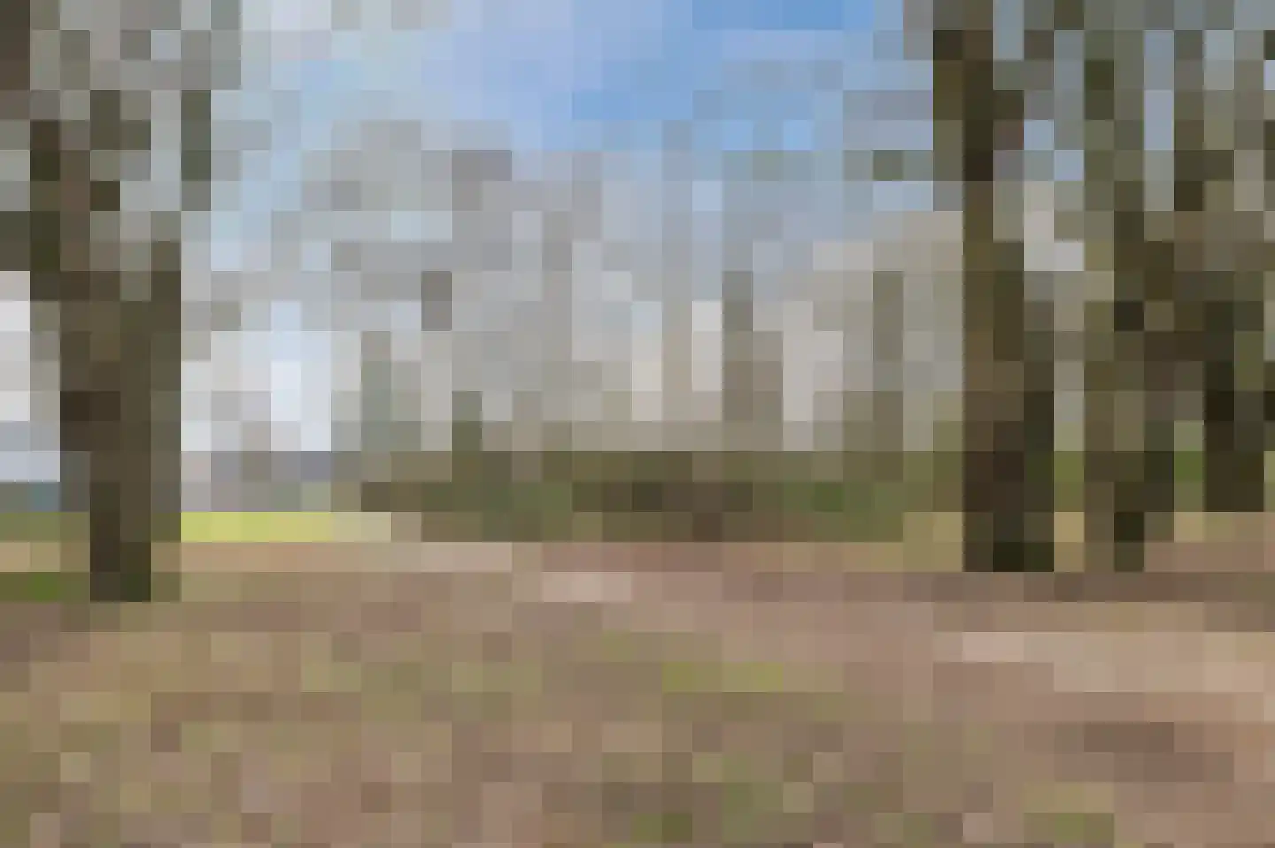 Aragorn 67 Geldrop thumbnail 43