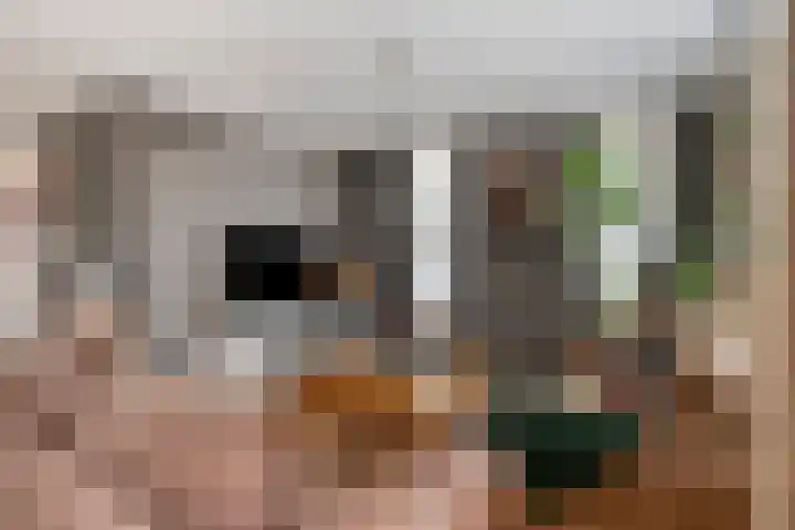 Aragorn 79 Geldrop thumbnail 11