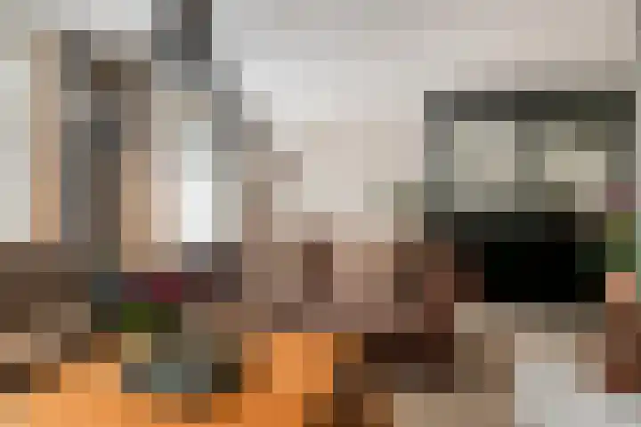 Aragorn 79 Geldrop thumbnail 13