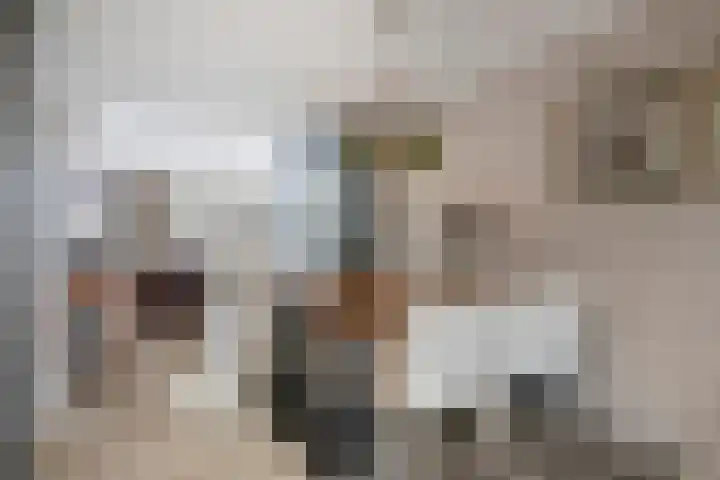 Aragorn 79 Geldrop thumbnail 16