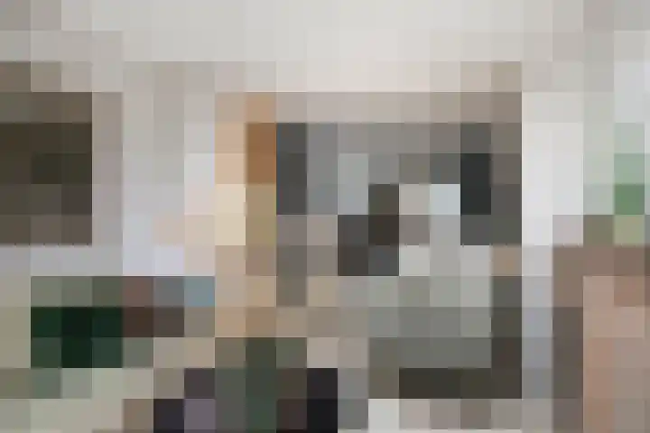Aragorn 79 Geldrop thumbnail 18