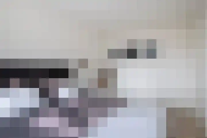 Aragorn 79 Geldrop thumbnail 22