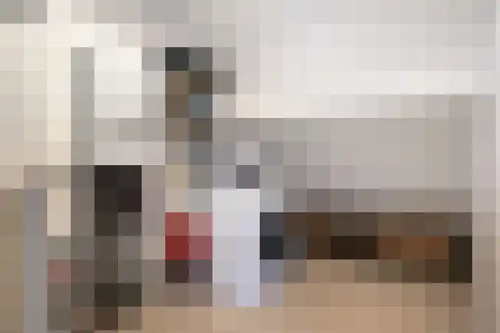 Aragorn 79 Geldrop thumbnail 27