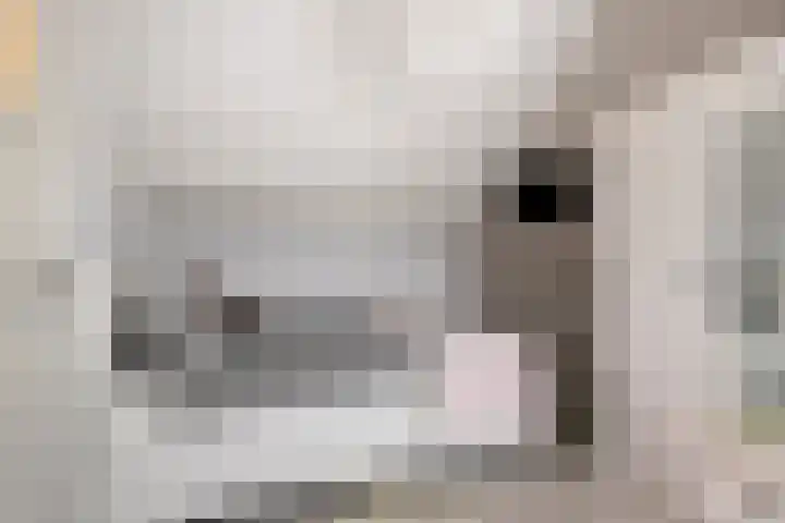 Aragorn 79 Geldrop thumbnail 28