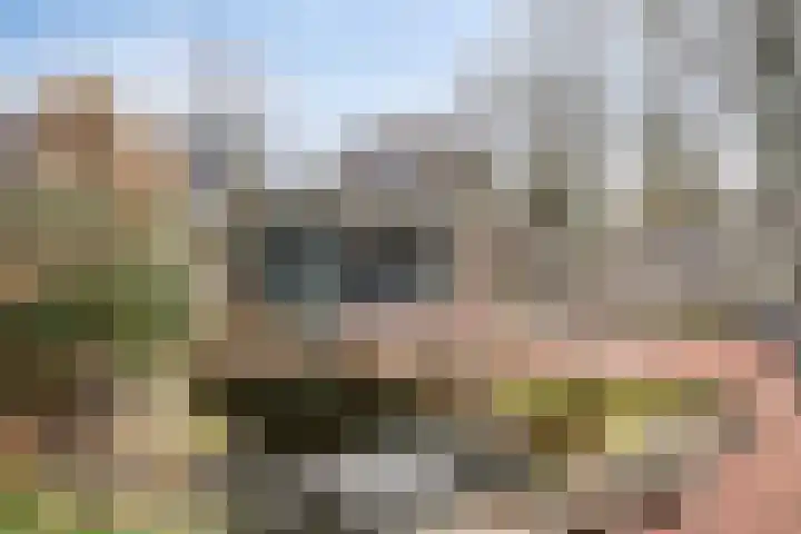 Aragorn 79 Geldrop thumbnail 33
