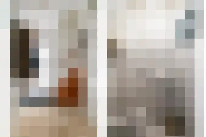 Aragorn 79 Geldrop thumbnail 38