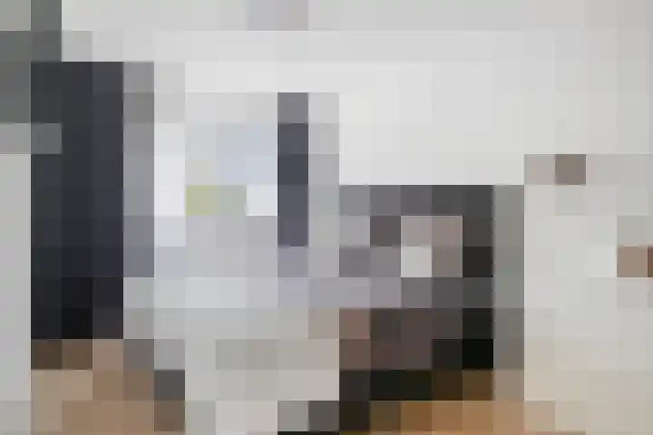 Aragorn 79 Geldrop thumbnail 4