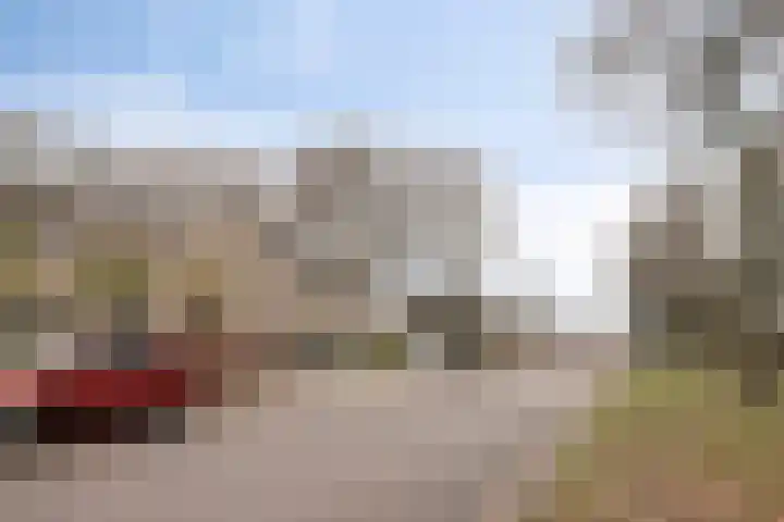 Aragorn 79 Geldrop thumbnail 7