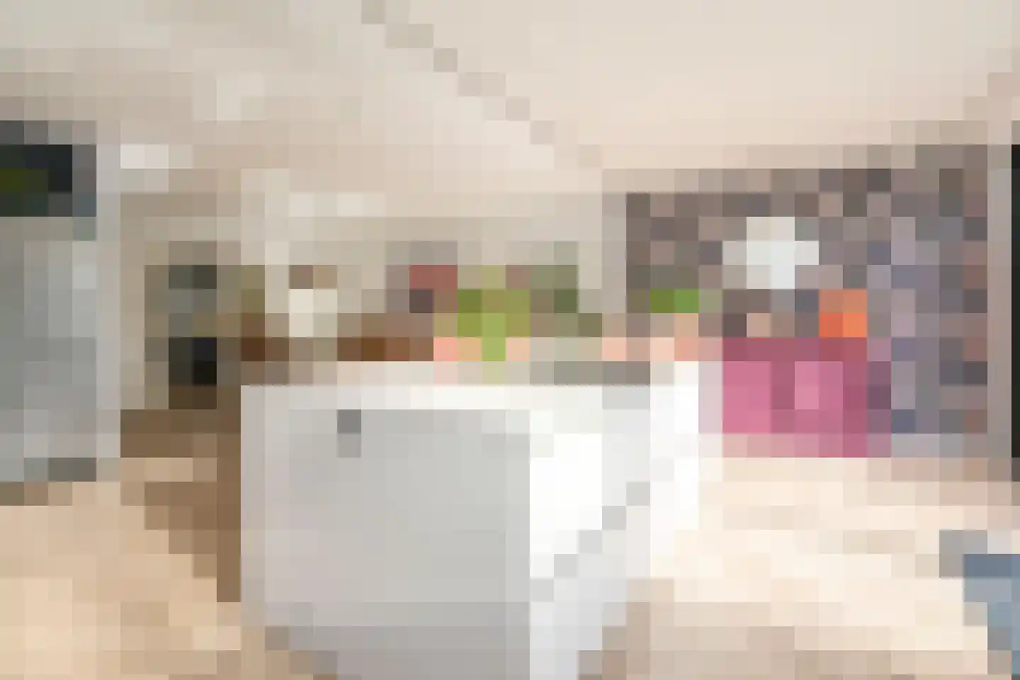 Araweg 14 Wassenaar thumbnail 15