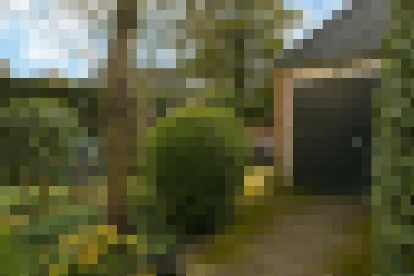 Araweg 14 Wassenaar thumbnail 19