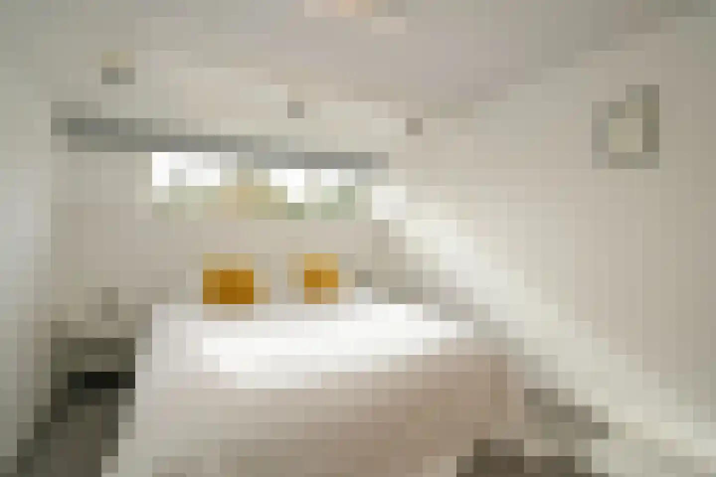 Araweg 14 Wassenaar thumbnail 30