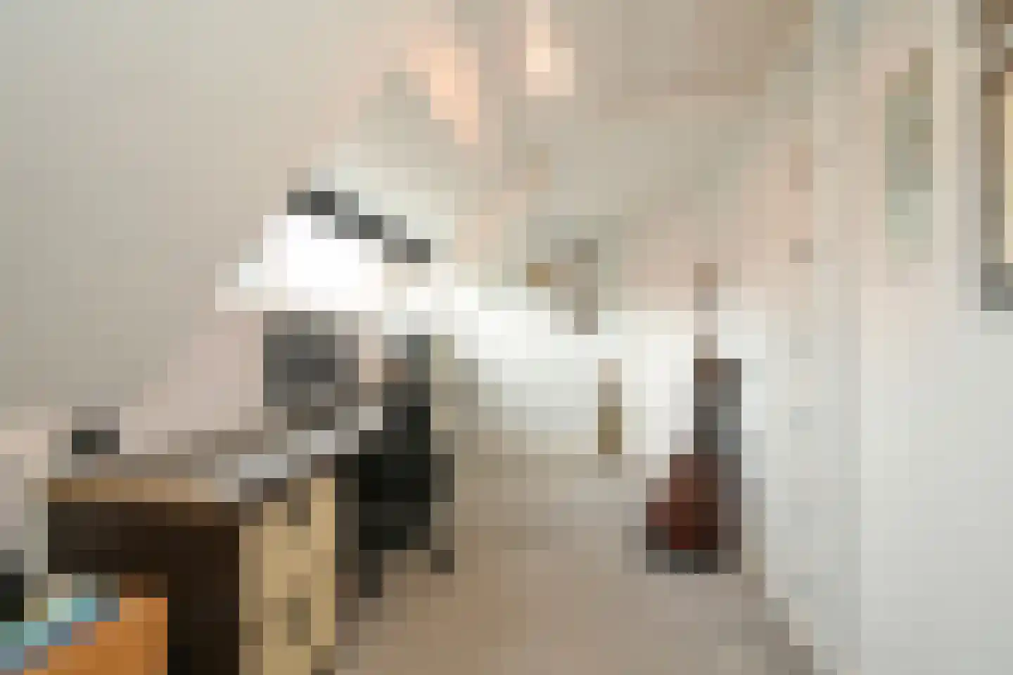 Araweg 14 Wassenaar thumbnail 32