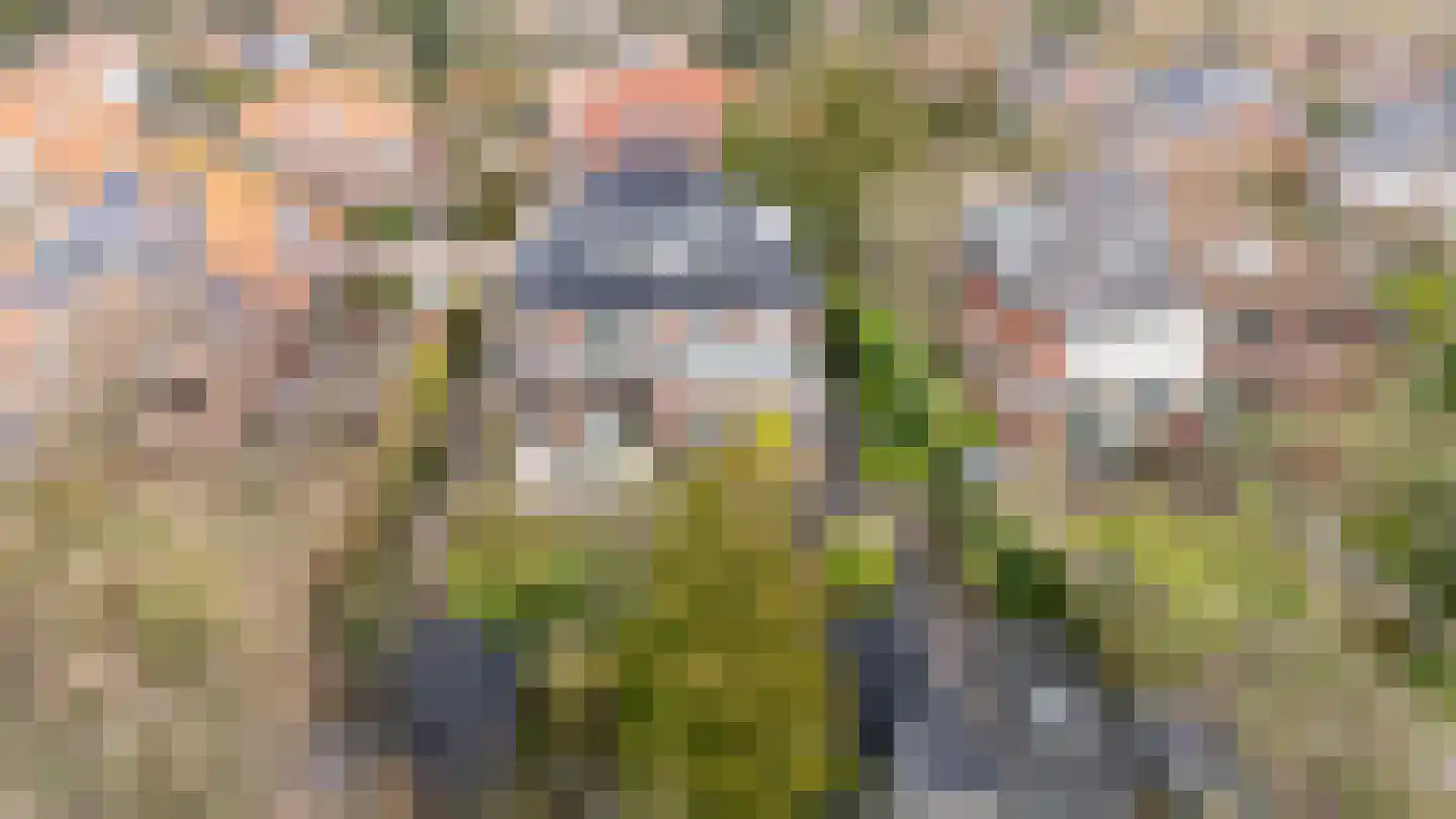 Araweg 14 Wassenaar thumbnail 35