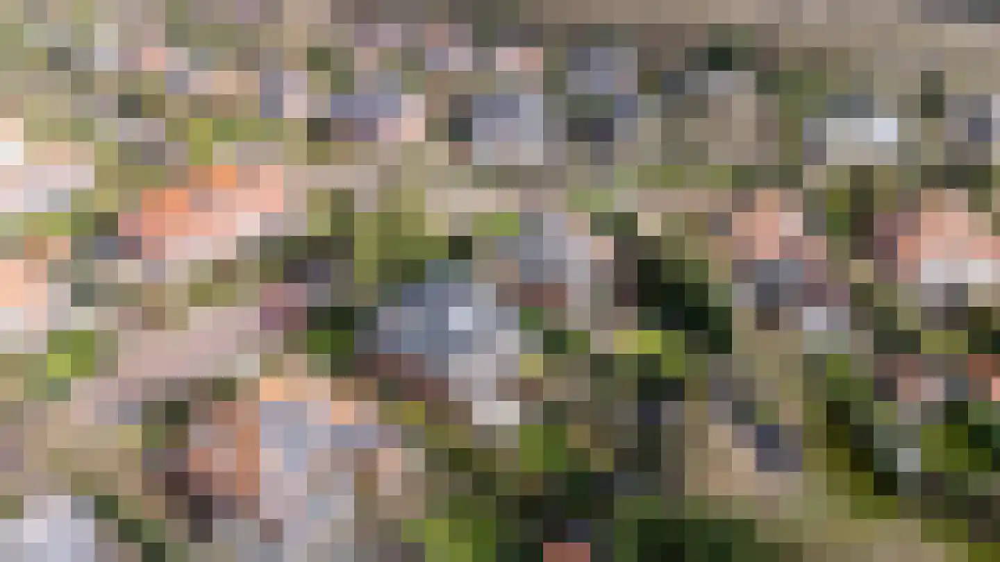 Araweg 14 Wassenaar thumbnail 36