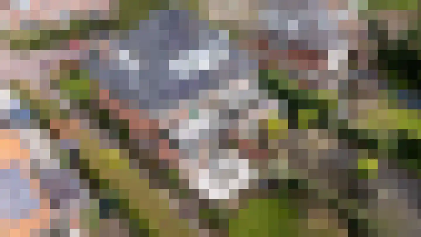 Araweg 14 Wassenaar thumbnail 37