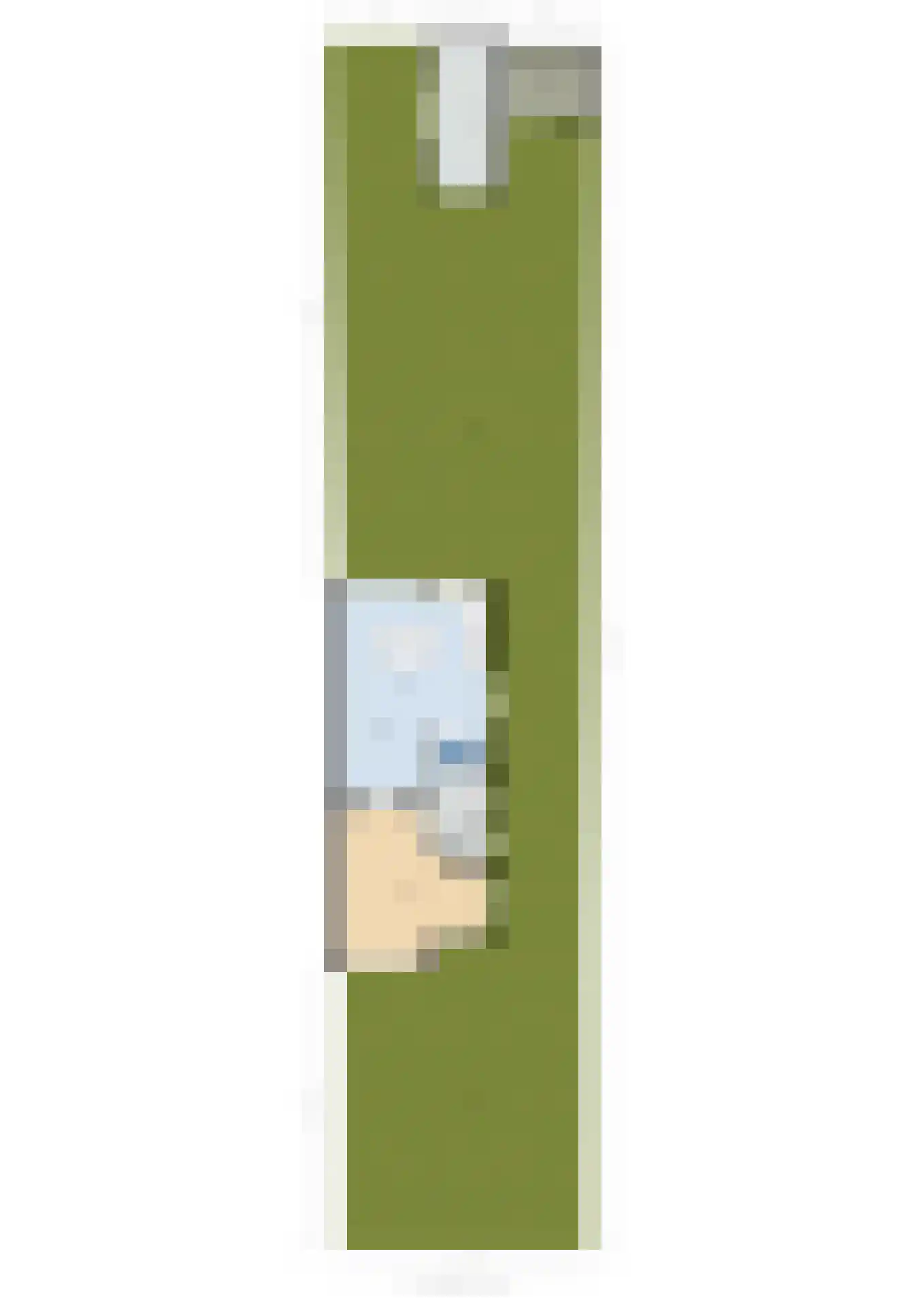 Araweg 14 Wassenaar thumbnail 43