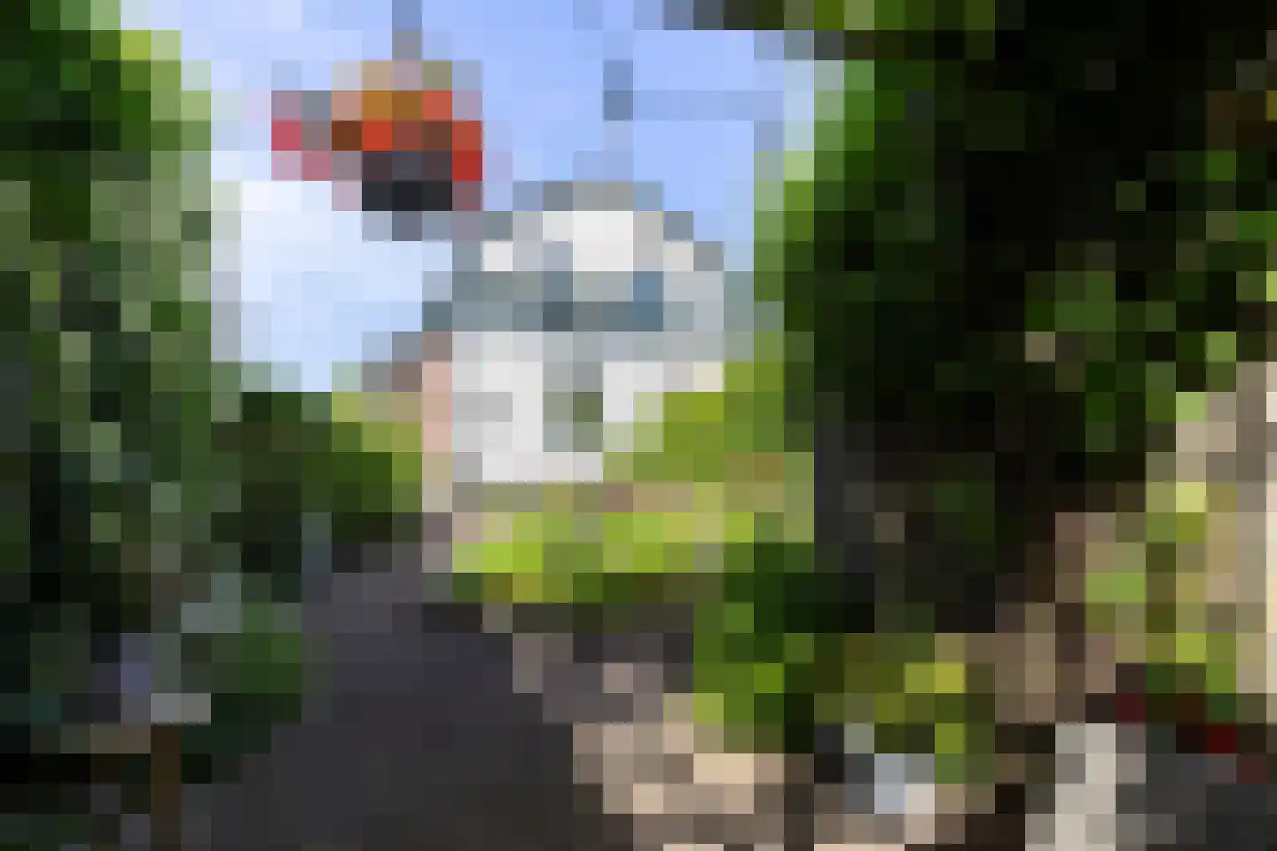 Arbeidstraat 8 Apeldoorn thumbnail 25