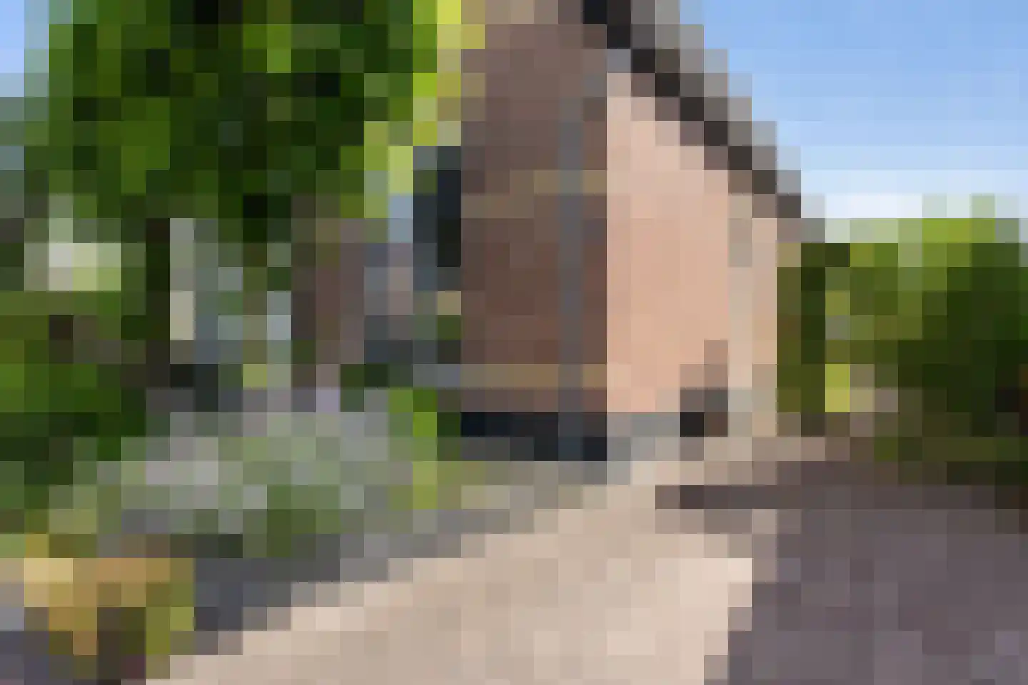 Arbeidstraat 8 Apeldoorn thumbnail 6