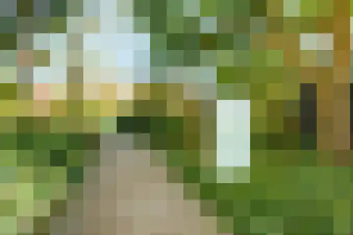 Arboretumlaan 6 305 Wageningen thumbnail 33