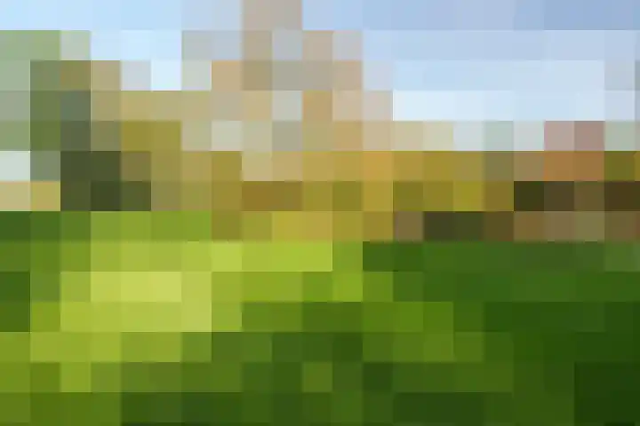 Arboretumlaan 6 305 Wageningen thumbnail 35
