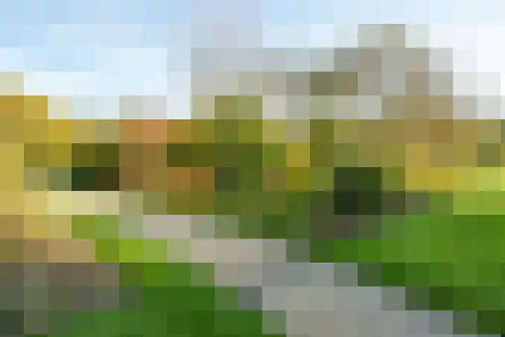 Arboretumlaan 6 305 Wageningen thumbnail 36