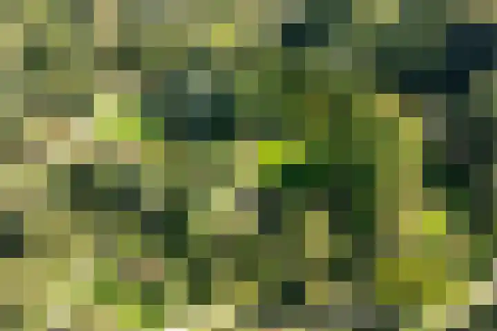 Arboretumlaan 6 305 Wageningen thumbnail 39