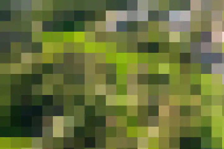 Arboretumlaan 6 305 Wageningen thumbnail 40
