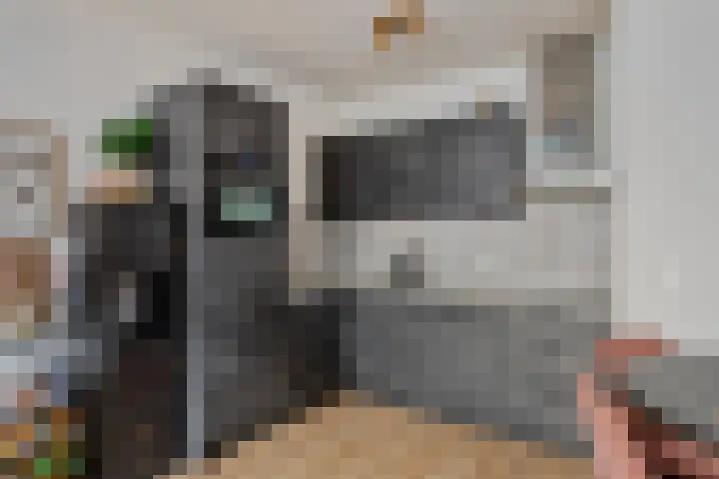 Arcachonhof 7 Eindhoven thumbnail 12