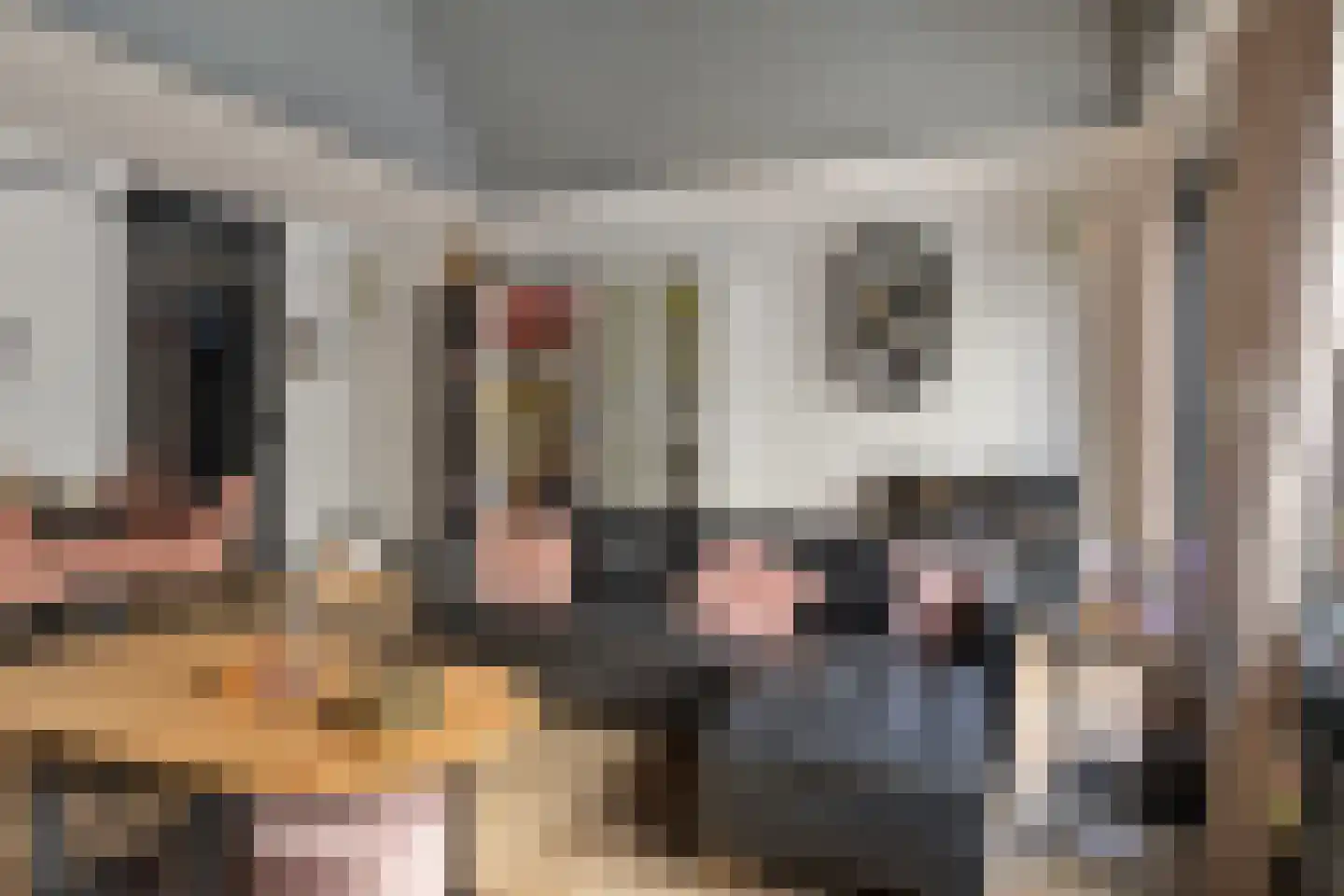Arcachonhof 7 Eindhoven thumbnail 8