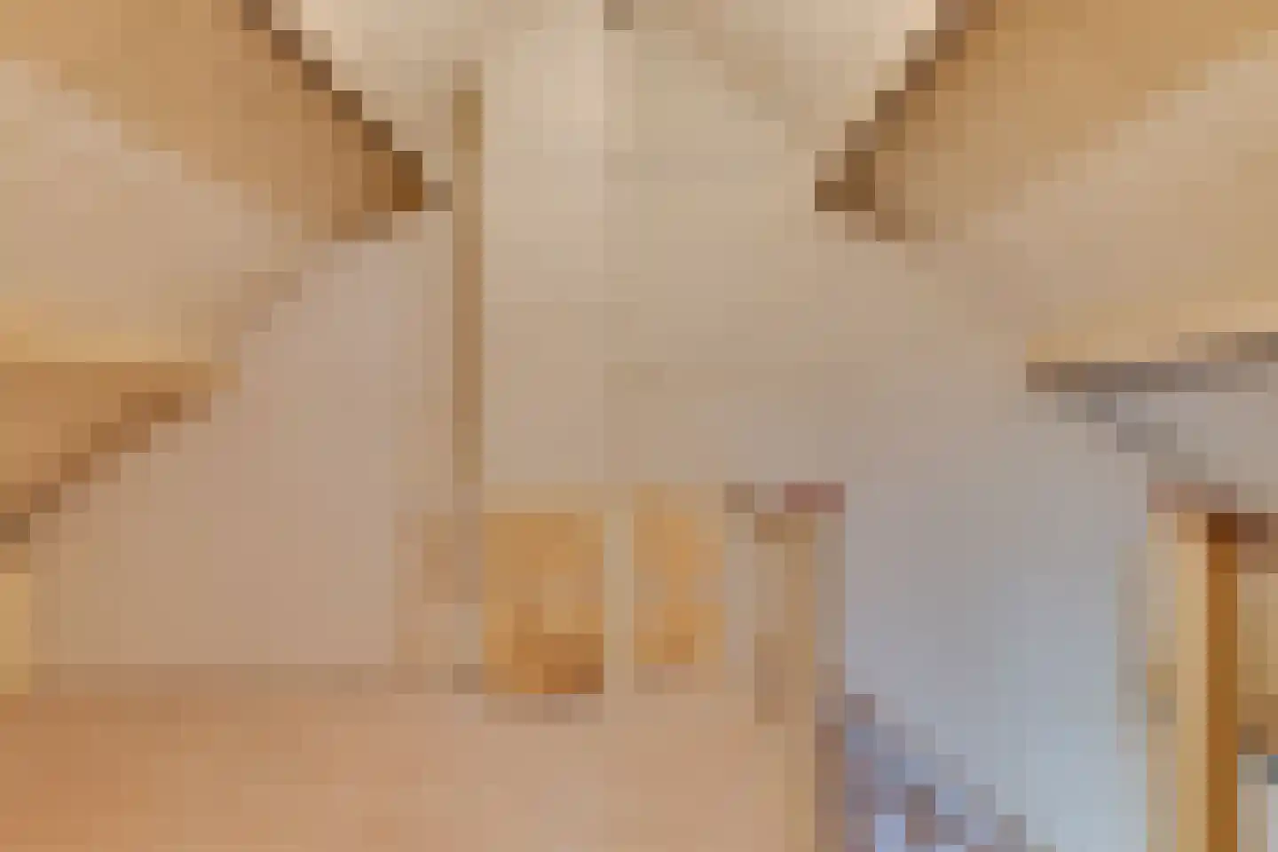 Arcadialaan 15 Alkmaar thumbnail 22