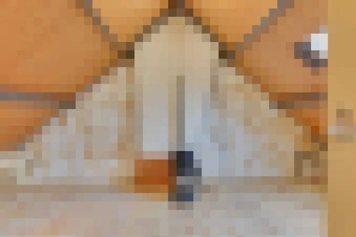 Arcadialaan 15 Alkmaar thumbnail 24
