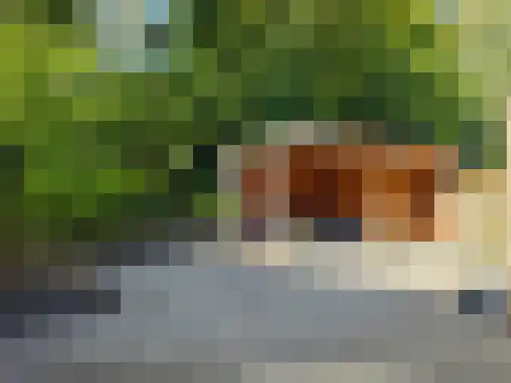 Arcadialaan 22 Enschede thumbnail 68