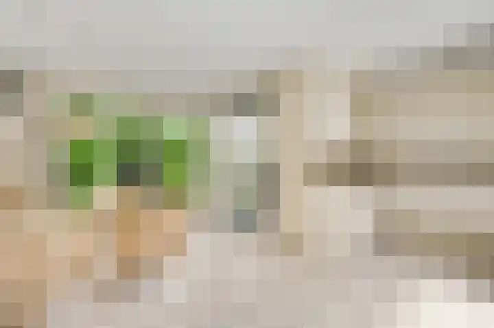 Arcadiastraat 1 Maastricht thumbnail 8