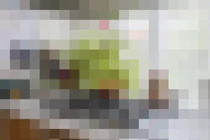 Arcellastraat 2 Amsterdam thumbnail 18