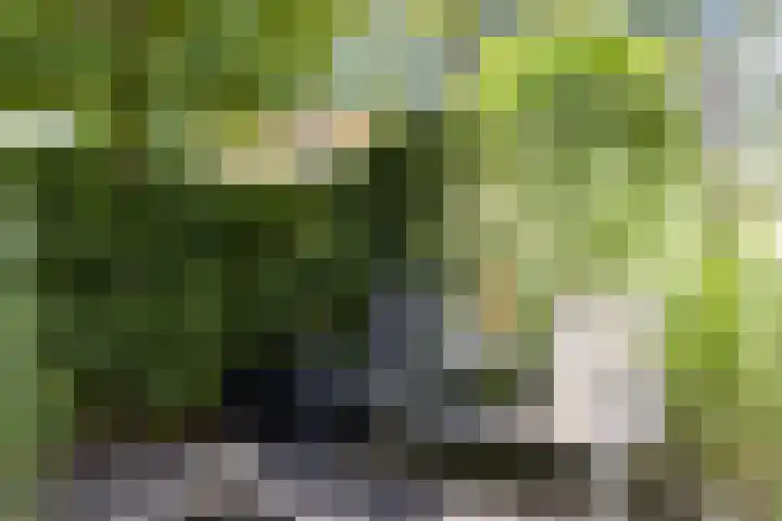 Arcellastraat 2 Amsterdam thumbnail 20